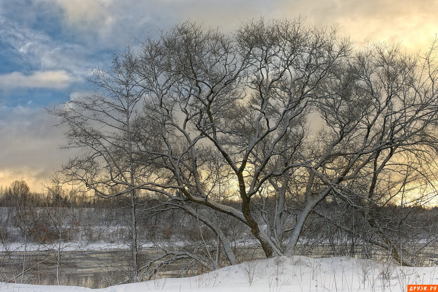 Winter landscape 1