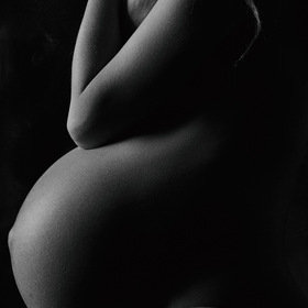 Profile of the pregnant body. Art Studio A. Krivitsky