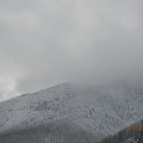 winter-2012 Transcarpathian region