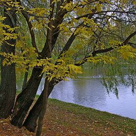 Осень в городском парке