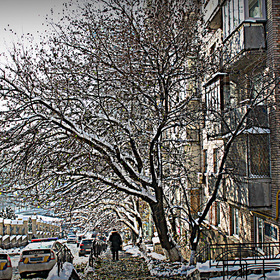 Киев осенний. первый снег. 14.11.2016.