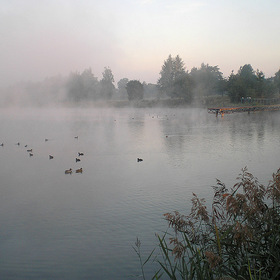 Туман на озере (2)